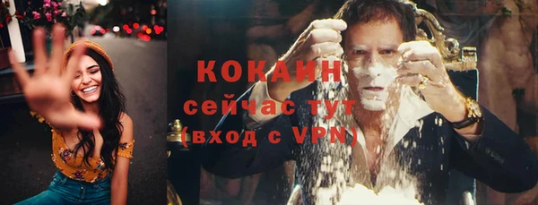 гидропоника Бородино