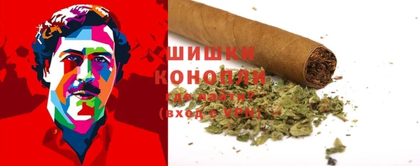 гидропоника Бородино