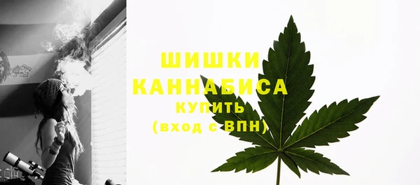 2c-b Бронницы
