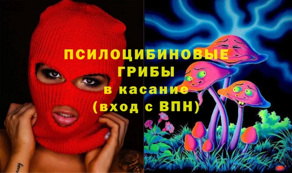 spice Осинники