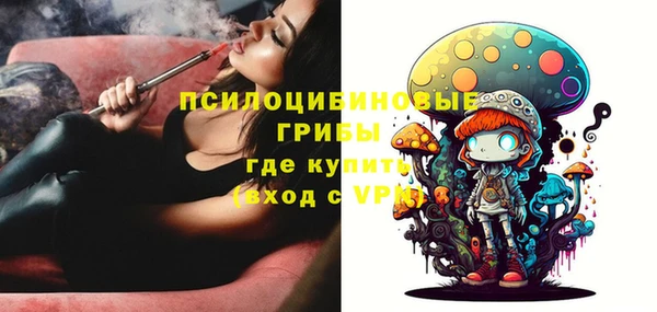 2c-b Бронницы