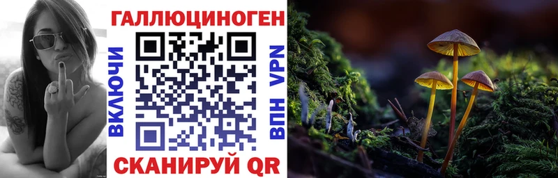 blacksprut рабочий сайт  Лыткарино  Галлюциногенные грибы прущие грибы 