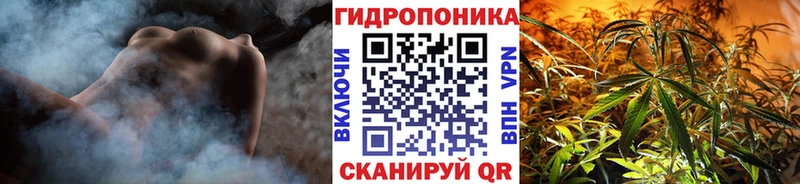 закладка  Лыткарино  Бошки марихуана тримм 